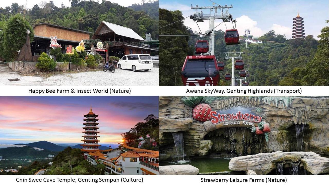 Windmill Upon Hills Genting By Widebed *